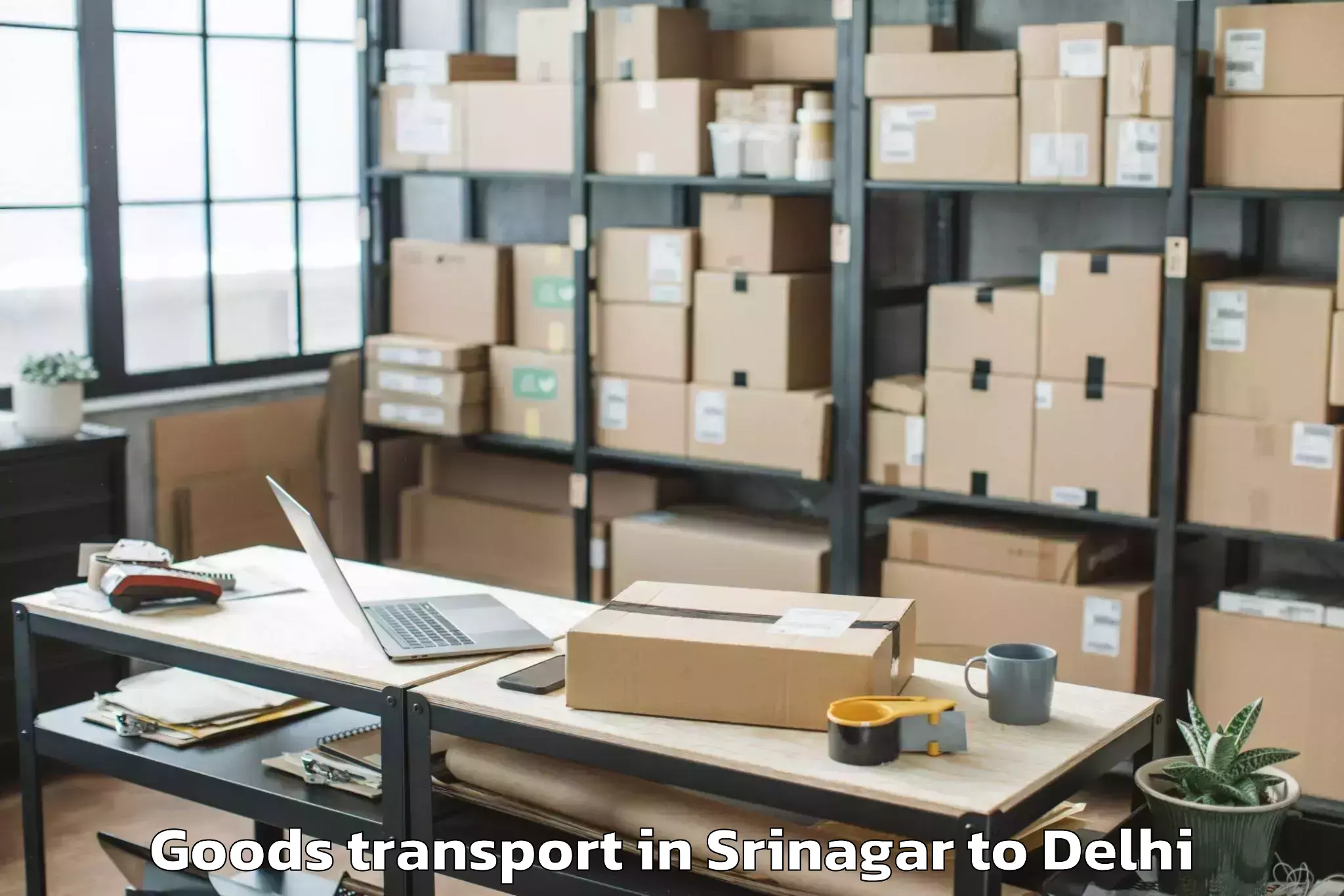 Professional Srinagar to Delhi Airport Del Goods Transport